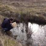 Placer County Approves Conservation Plan
