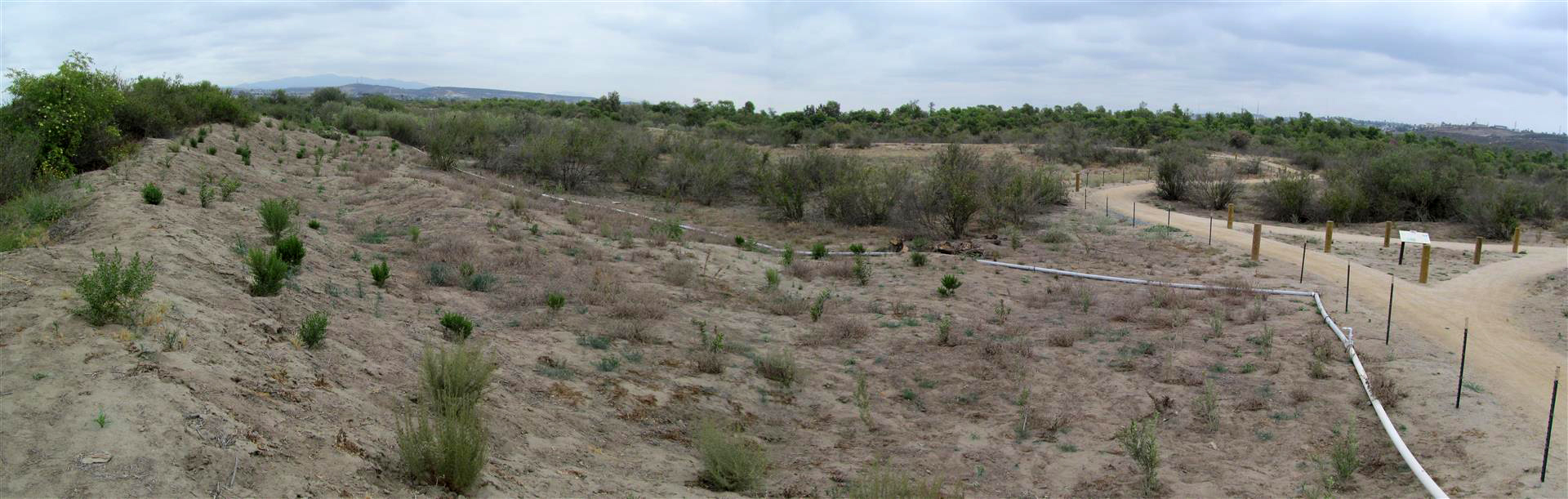 Tijuana River Valley Regional Park Restoration