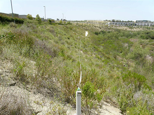 Carlsbad Raceway Restoration