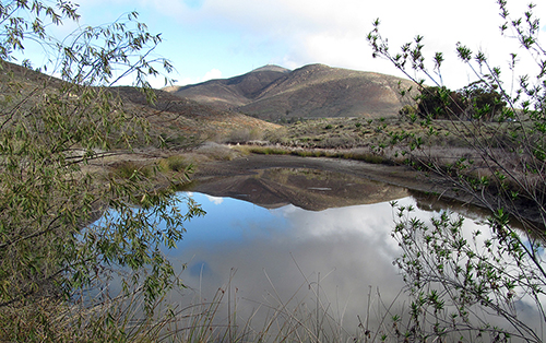 Habitat Mgmt Area