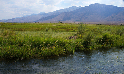 Inyo County Renewable Energy General Plan Amendment & PEIR