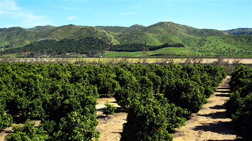 TERI Center for Research & Life Planning Agricultural Study