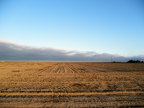 Tranquility Solar Project site