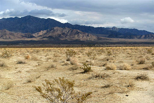 Palen project site