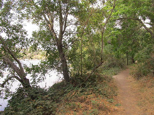  Lake Natoma trail