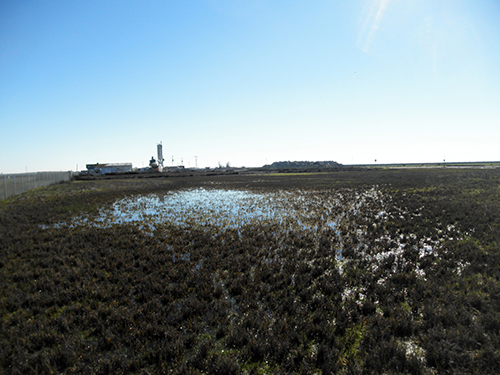 Colusa County Airport Vernal Pools