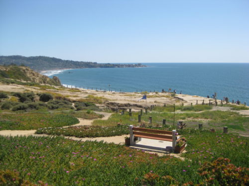 Torrey Pines City Park General Development Plan