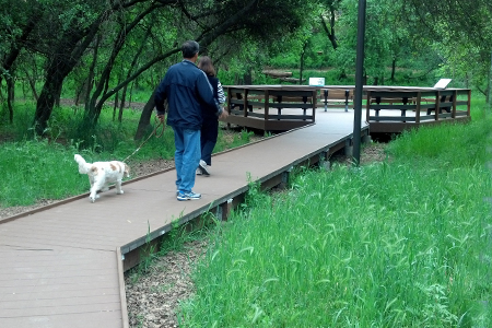 Arcade Creek Park Preserve