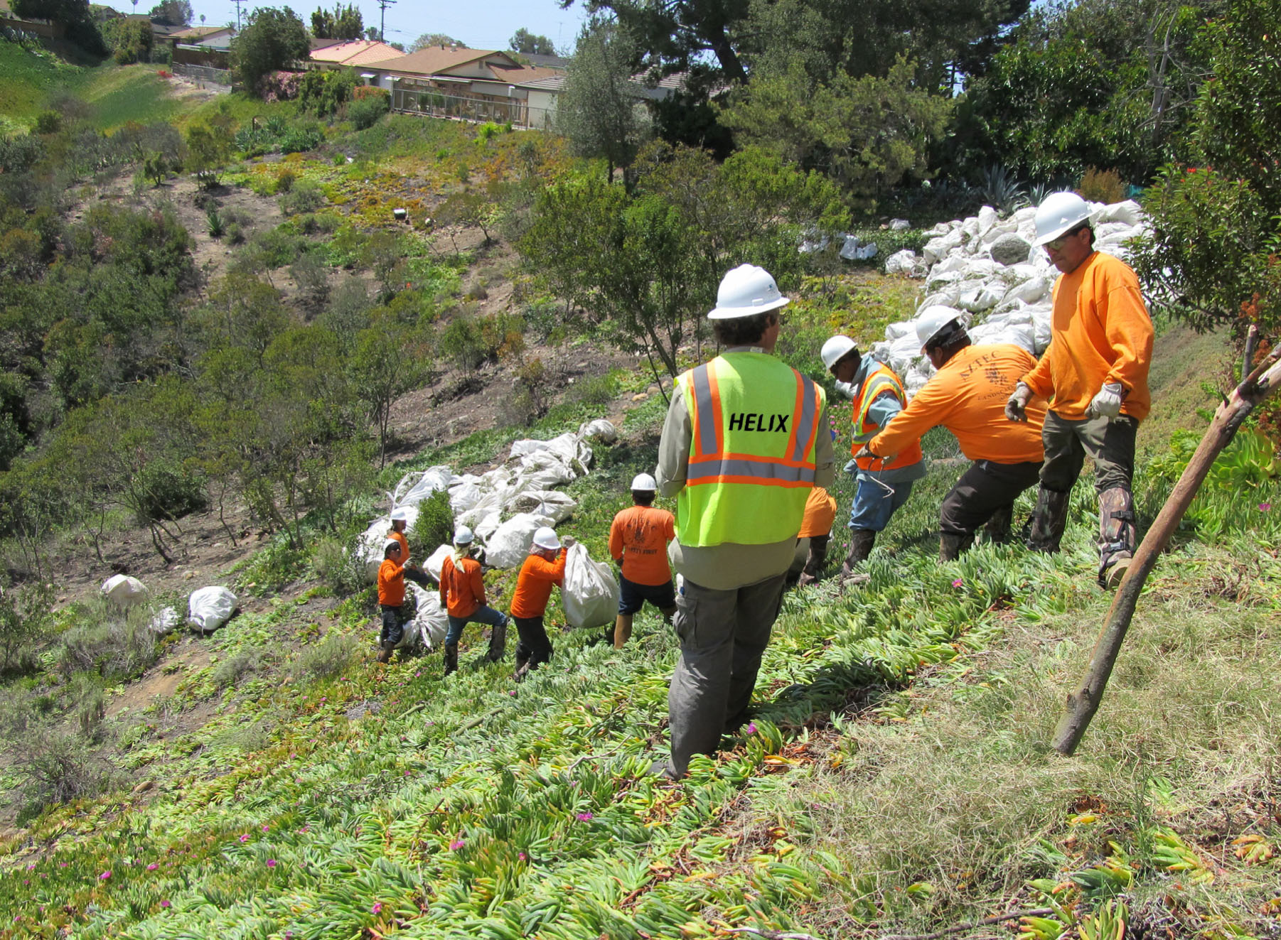 City of San Diego Brush Management Plan