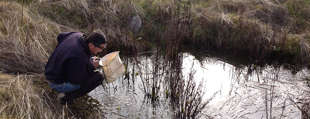 Biologist Conducting Fairy Shrimp Surveys
