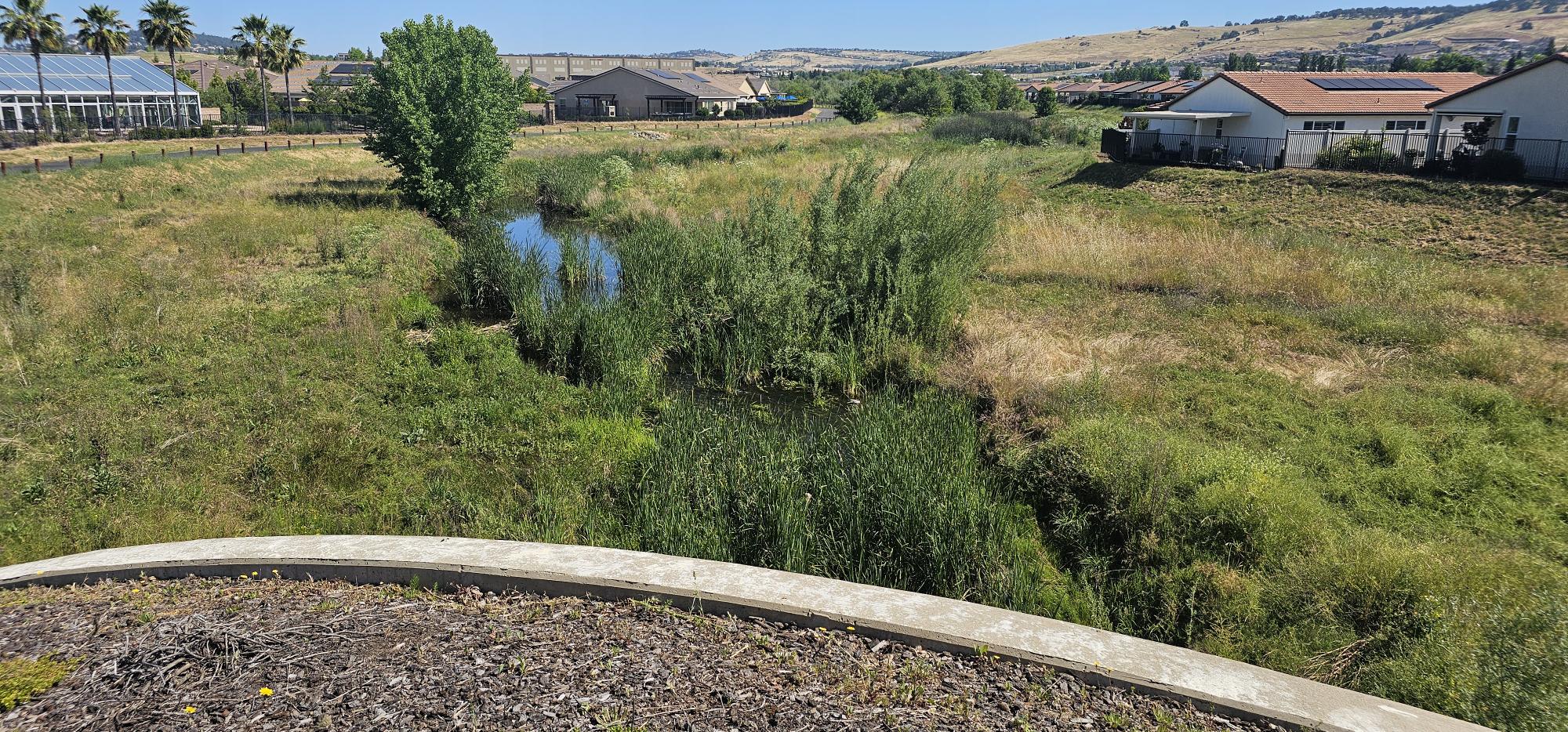 Carson Creek Preserve