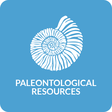 fossil preparation Paleontological Resources